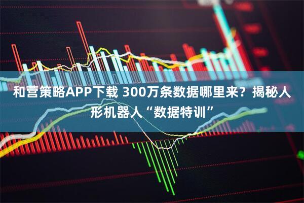 和营策略APP下载 300万条数据哪里来？揭秘人形机器人“数据特训”