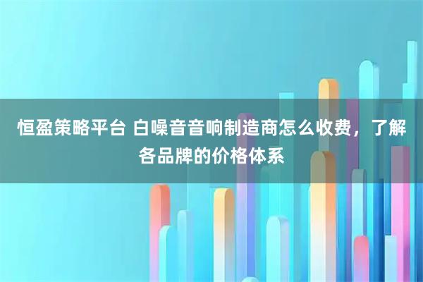 恒盈策略平台 白噪音音响制造商怎么收费，了解各品牌的价格体系