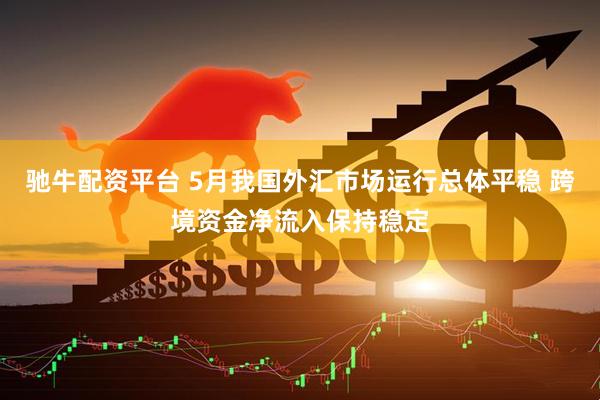 驰牛配资平台 5月我国外汇市场运行总体平稳 跨境资金净流入保持稳定